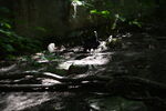 DSC_6918.JPG